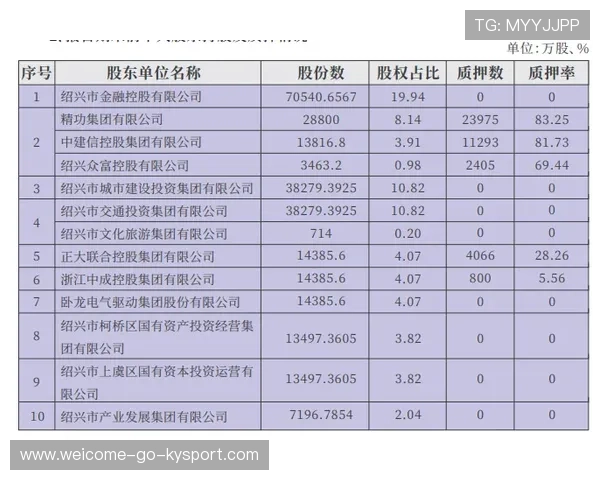 交易结构成关键，贷款+买断成新潮流