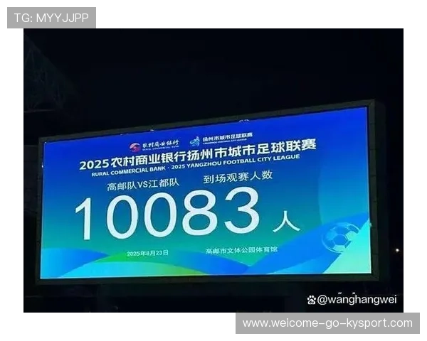 足球产业是否推动了地方政府体育政策创新，足球体育产业方案