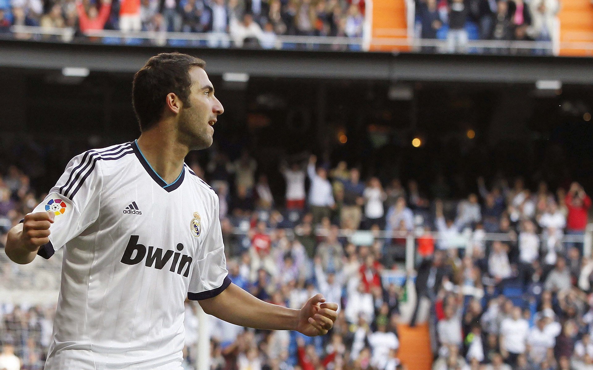 圣卢西亚养老长跑展现活力,圣卢西亚属于哪个洲